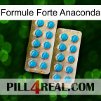 Anaconda Strong Formula new08